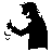Entrar